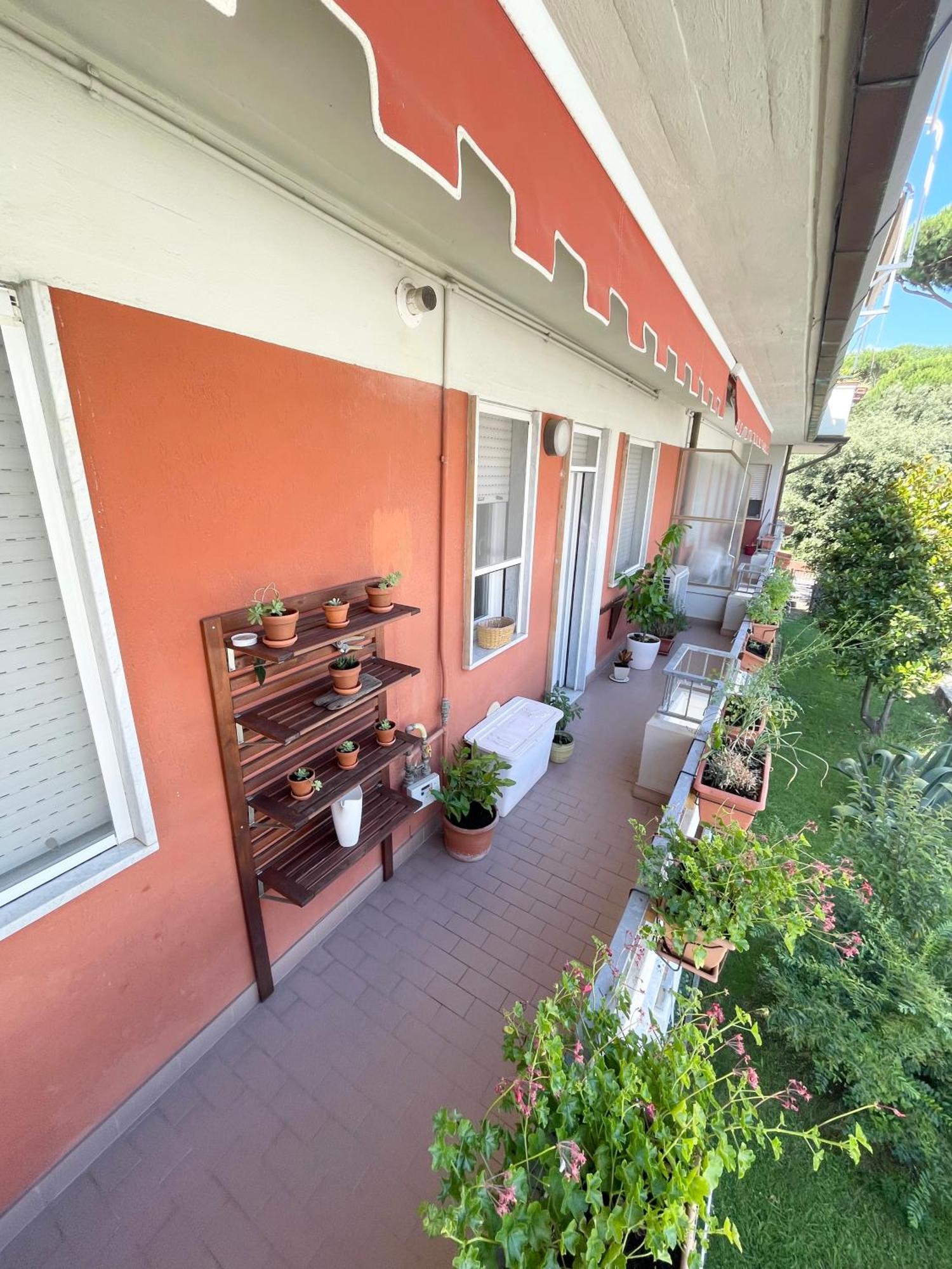 Appartamento Moderno Sul Mare มารีนา ดิ มาซซา ภายนอก รูปภาพ